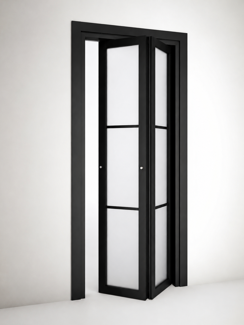 Folding Door 005