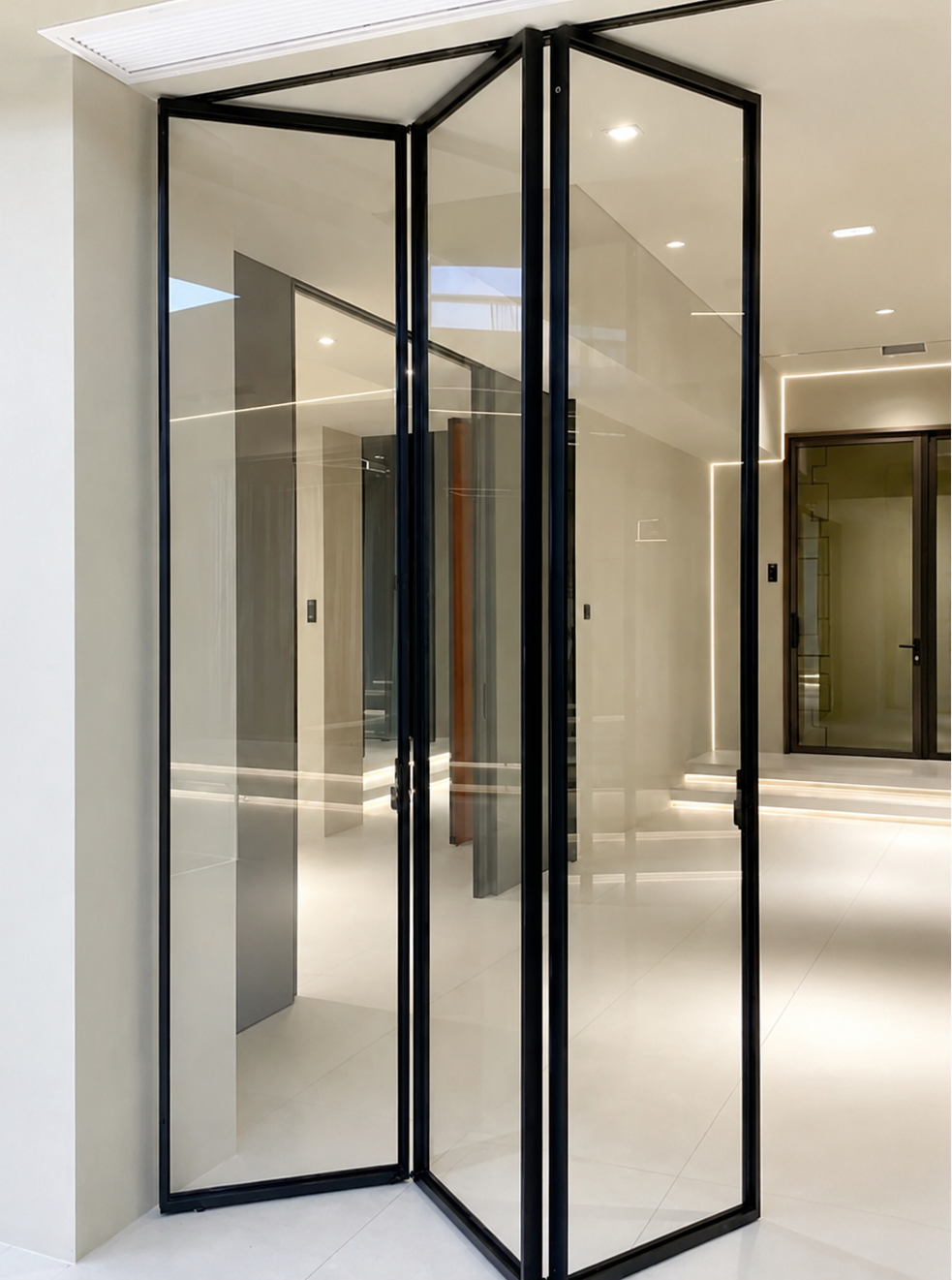 Folding Door 004